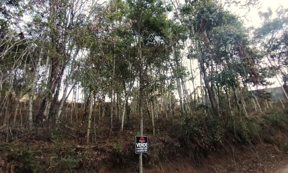 Terreno 50 1