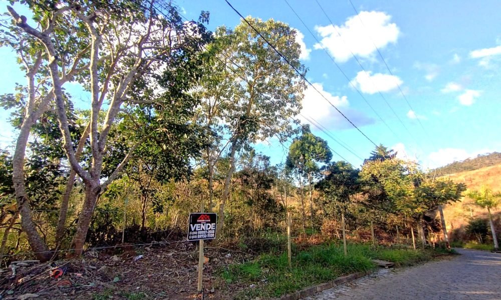 Terreno 50 11