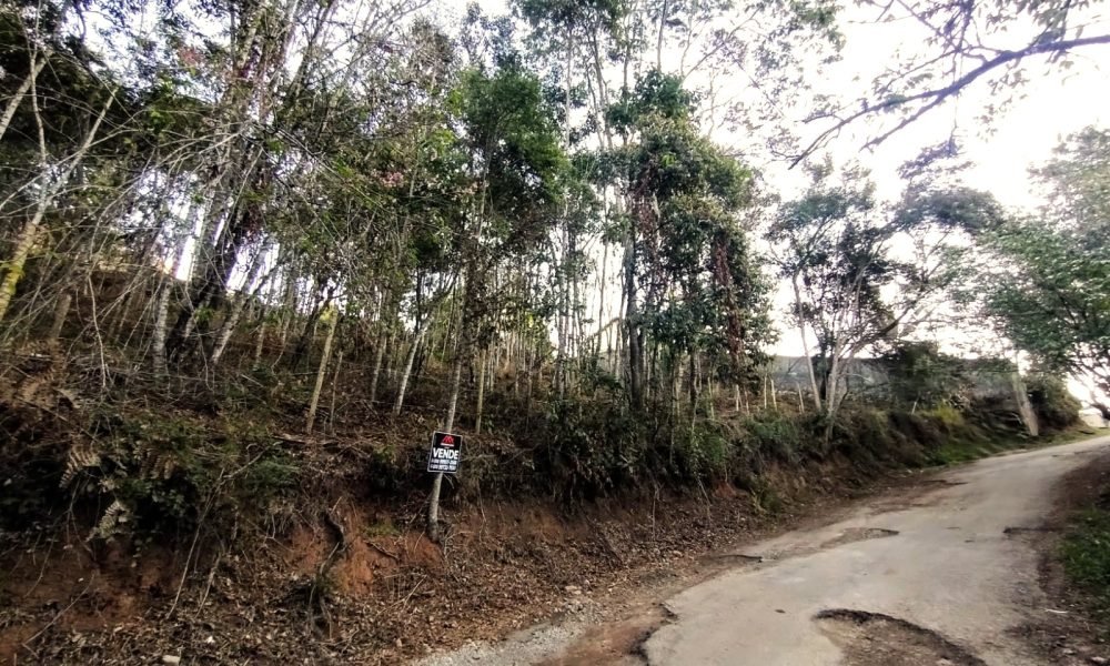 Terreno 50 2