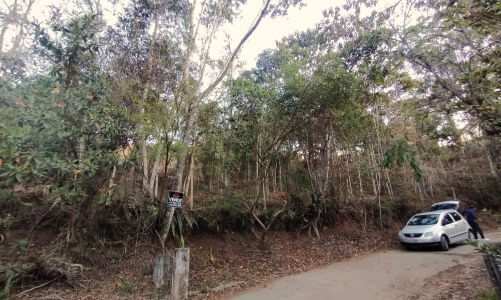 Terreno 50 3