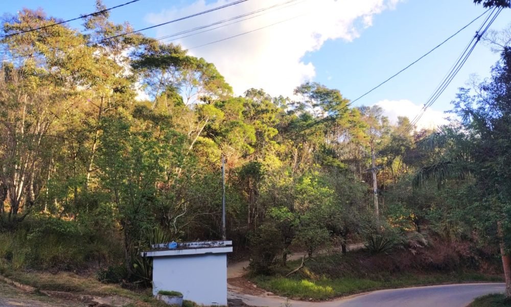 Terreno 50 5