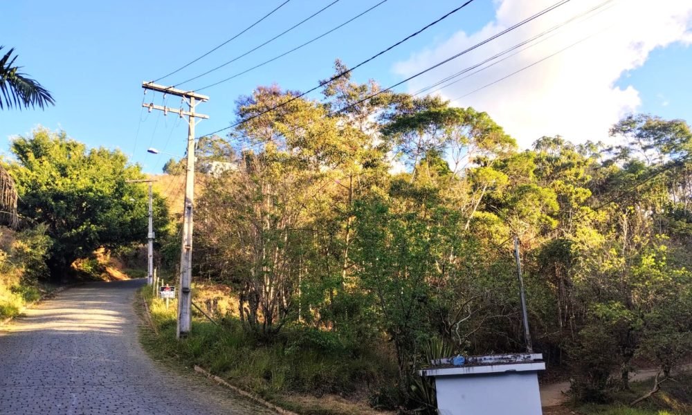Terreno 50 6