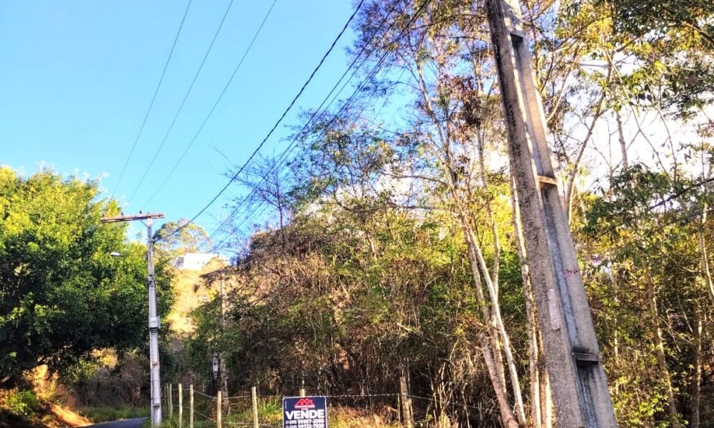 Terreno 50 8