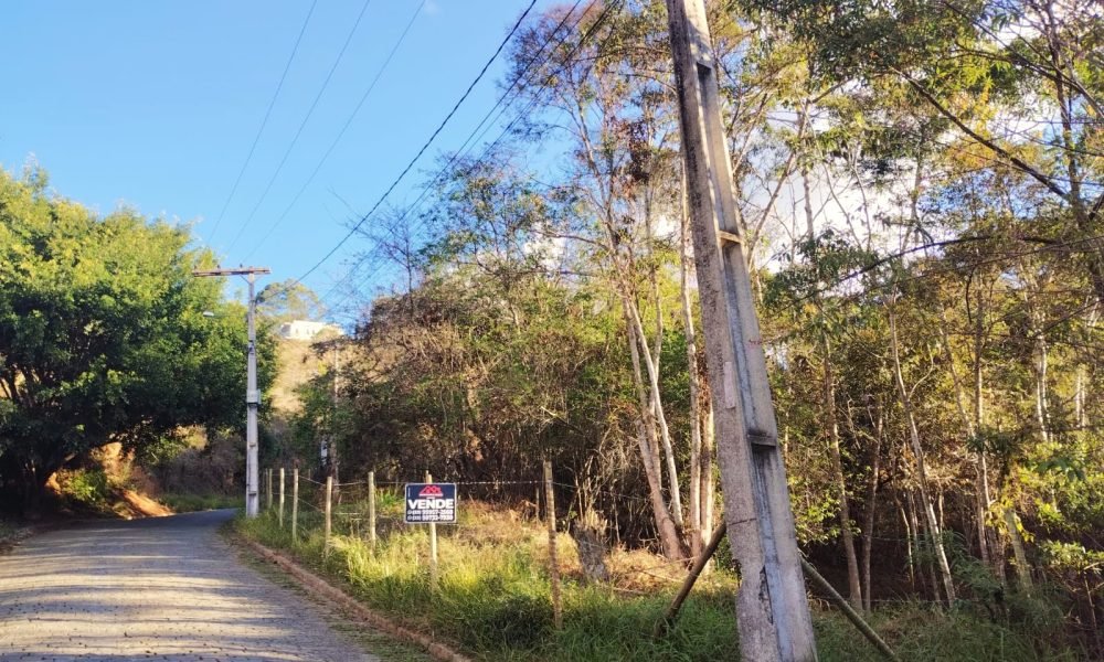 Terreno 50 9
