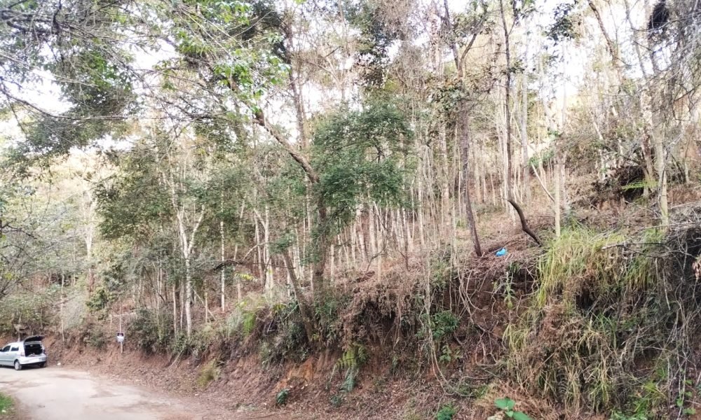 Terreno 50 Mirante Real - $1.280.000
