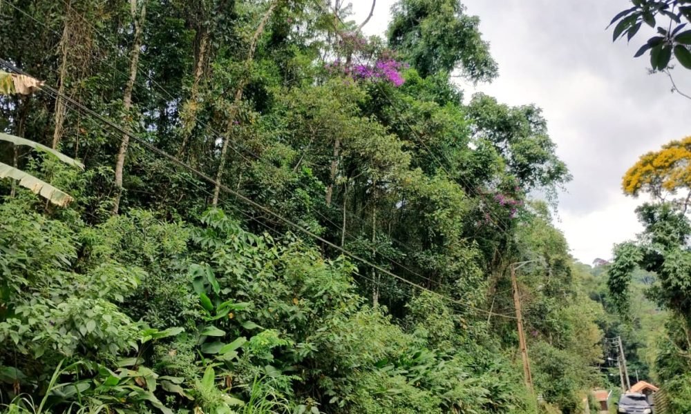 Terreno 55 Mury - $290.000